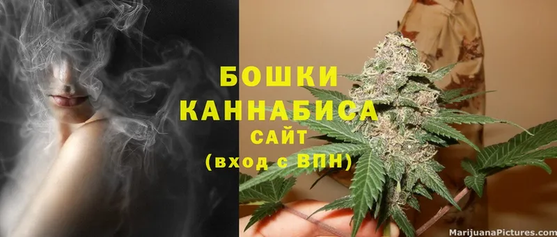 где купить   OMG ССЫЛКА  Бошки марихуана THC 21%  Анива 